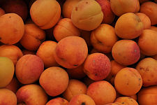 apricot